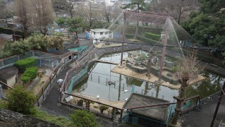 和歌山・お城の動物園が100周年　記念イベントでロゴマークも決定